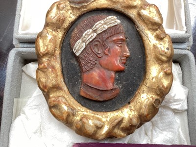 Lot 1669 - Classical carved shell cameo in gilt frame, 18th century or earlier