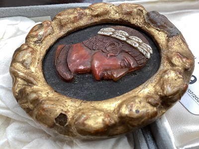 Lot 1669 - Classical carved shell cameo in gilt frame, 18th century or earlier