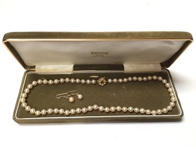 Lot 345 - Cultured pearl necklace with a single string of 7mm cultured pearls on 9ct gold clasp and a pearl of cultured pearl earrings