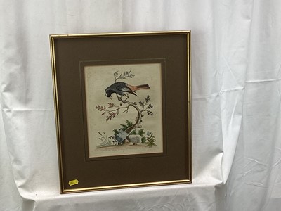 Lot 142 - 18th century hand coloured engraving - The Redstart from Gibraltar, 24.5cm x 20cm, in glazed gilt frame