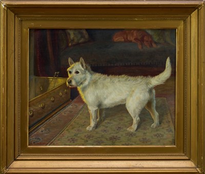 Lot 1036 - H. Hardy Simpson, early 20th century, oil on canvas - Portrait of a Terrier, signed and dated 1903, 38 x 48cm, in gilt frame