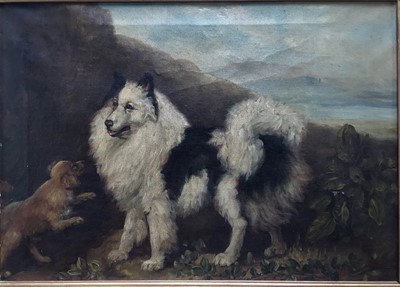 Lot 117 - European School, oil on canvas - Pomeranian dog and a puppy in a landscape, in gilt frame. 28 x 39cm