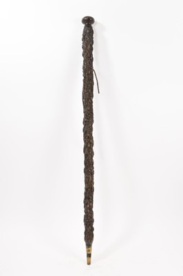 Lot 837 - Unusual 19th century sprout stem walking stick, 90cm long