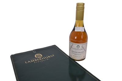 Lot 75 - Bottle of the first release English brandy Lamberhurst 35cl, bottle of House of Lords Finest Reserve Port 75cl. and a bottle of Sainsbury's Millenium Champagne Grand Cru Brut Vintage 1995. (3)
