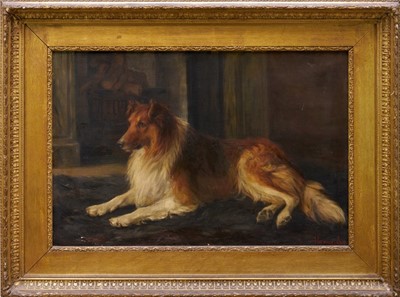 Lot 1079 - Florence Jay (act.1905-1920) oil on canvas - A Collie, signed, 51cm x 76cm, in gilt frame