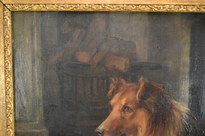 Lot 1079 - Florence Jay (act.1905-1920) oil on canvas - A Collie, signed, 51cm x 76cm, in gilt frame