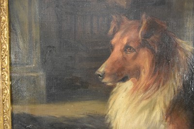 Lot 1079 - Florence Jay (act.1905-1920) oil on canvas - A Collie, signed, 51cm x 76cm, in gilt frame