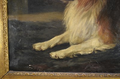 Lot 1079 - Florence Jay (act.1905-1920) oil on canvas - A Collie, signed, 51cm x 76cm, in gilt frame