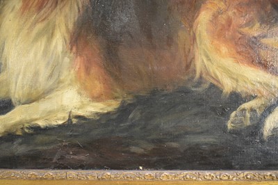 Lot 1079 - Florence Jay (act.1905-1920) oil on canvas - A Collie, signed, 51cm x 76cm, in gilt frame