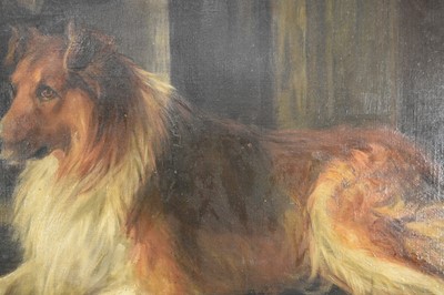 Lot 1079 - Florence Jay (act.1905-1920) oil on canvas - A Collie, signed, 51cm x 76cm, in gilt frame