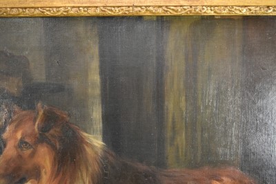 Lot 1079 - Florence Jay (act.1905-1920) oil on canvas - A Collie, signed, 51cm x 76cm, in gilt frame