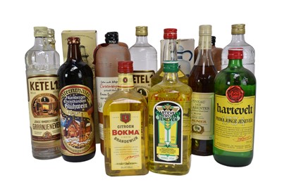 Lot 72 - Fifteen bottles, to include Jonge Bols Gran Feneier and other Bols
