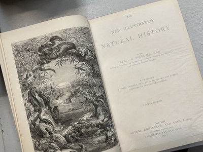 Lot 900 - The Rev J G Wood -  Illustrated Natural History, 3 Vols, and others