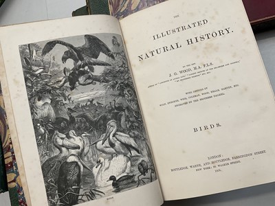 Lot 900 - The Rev J G Wood -  Illustrated Natural History, 3 Vols, and others