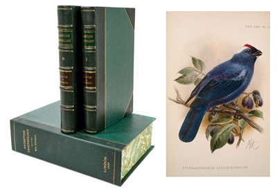 Lot 903 - Sclater and Hudson - Argentine Ornithology, A Descriptive Catalogue of the Birds of the Argentine Republic, 2 vols., 1888