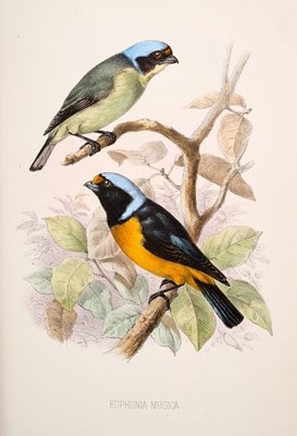 Lot 904 - Charles B. Cory - The Birds of Haiti and San Domingo, first edition, one of 300 copies