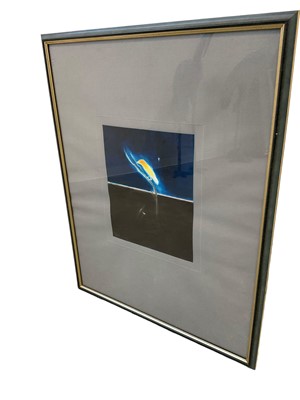 Lot 207 - Craigie Aitchison (1926-2009) screen print, Yellow bird, certificate verso states this is signed and numbered 16/160 (no discernible signature or numbering), image 25 x 20cm