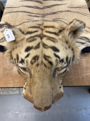 Lot 869 - Fine 1940s Van Ingen Tiger skin rug, the underside numbered 31708 with records stating it was delivered to Van Ingen on July 23rd 1945 by Sir William Ibbotson. 313cm nose to tail, 212cm paw to paw.