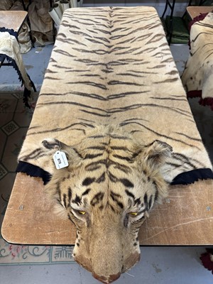 Lot 869 - Fine 1940s Van Ingen Tiger skin rug, the underside numbered 31708 with records stating it was delivered to Van Ingen on July 23rd 1945 by Sir William Ibbotson. 313cm nose to tail, 212cm paw to paw.