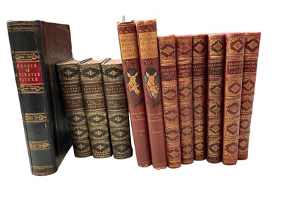 Lot 914 - Wood - The Illustrated Natural History, in 3 vols, London: Routledge, Warne and Routledge 1862, original cloth binding, together with Museum of Annimated Nature by Charles Knight (1856-58) and Carl...