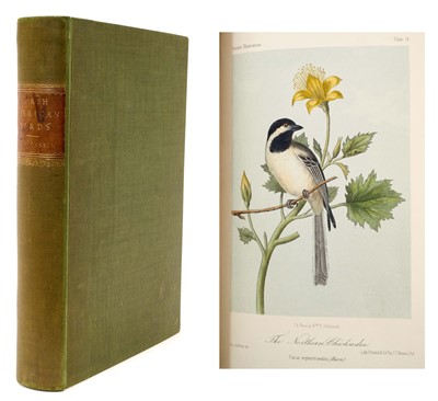 Lot 918 - John Cassin - Illustrations of the Birds of California, Texas, Oregon, British and Russian America. Philadelphia: J.B. Lippincott & Co., 1856, later cloth binding