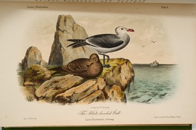 Lot 918 - John Cassin - Illustrations of the Birds of California, Texas, Oregon, British and Russian America. Philadelphia: J.B. Lippincott & Co., 1856, later cloth binding