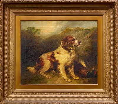 Lot 1017 - George Armfield (1808-1893) oil on canvas - Spaniel and dead Pheasant, signed, 50cm x 60cm, in gilt frame