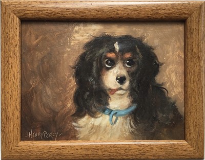 Lot 100 - Henry Percy, oil on board, study of a King Charles spaniel, signed in light mahogany frame. 14 x 19cm.