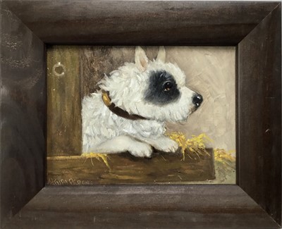 Lot 101 - Henry Percy, oil on board, black and white terrier, signed, in painted frame. 14 x 19cm.