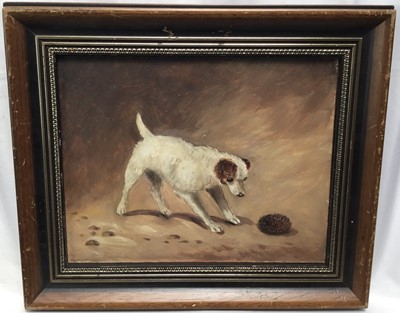 Lot 102 - 20th century English School, oil on board, A terrier dog and a hedgehog, in gilt and painted frame. 20 x 25cm.