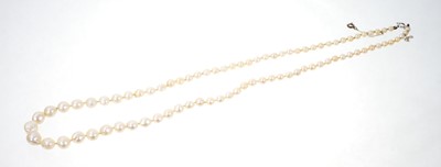 Lot 476 - Graduated baroque pearls in folding leather case