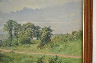 Lot 1032 - Walter Savage Cooper (1861-1943) oil on board, Summer landscape