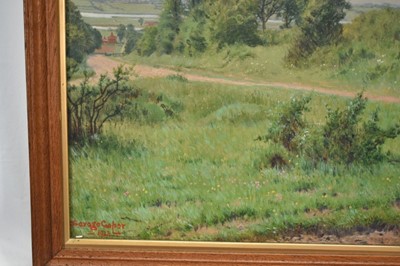Lot 1032 - Walter Savage Cooper (1861-1943) oil on board, Summer landscape