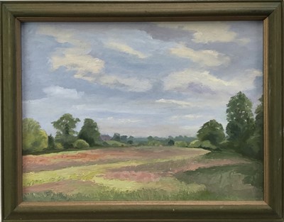 Lot 19 - Geoffrey Mieville, contemporary, oil on board - Suffolk Landscape, framed