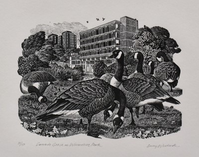 Lot 1182 - Barry Woodcock, contemporary, signed limited edition wood engraving, Canada Geese in Wivenhoe Park, 31/150, 17cm x 19.5cm, in glazed frame