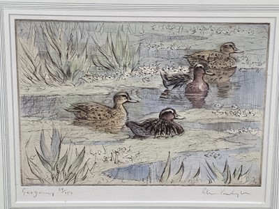 Lot 80 - Peter Partington, b.1941. “Garganey” and “Pintale”, pair of coloured etchings of ducks in a pond. Signed in pencil, titled and numbered to margin. Overall including frames 38x46cm.