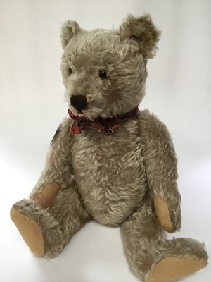 Lot 1803 - Steiff vintage bear blonde mohair, brown glass eyes, felt paws, four stitched claws, vertically stitched nose.