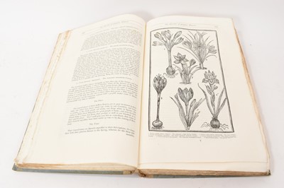 Lot 714 - John Parkinson - Paradisi in Sole Paradisus Terrestris