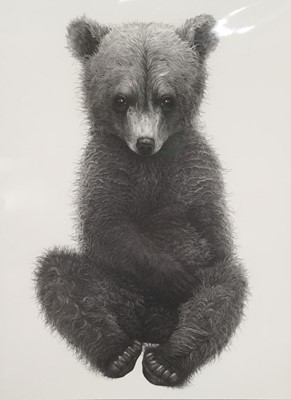 Lot 38 - Gary Hodges, 'Sitting Pretty', pencil signed limited edition print of a brown bear, 160/1250, 33cm x 23cm, in mount