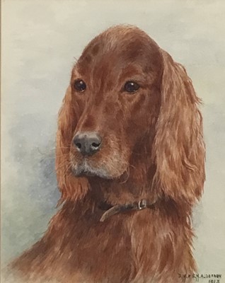 Lot 36 - Dorothy Margaret and Elizabeth Alderson (1900-1992), watercolour of a red setter, signed and dated 1958, 28cm x 22cm, framed and glazed