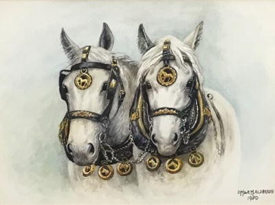 Lot 35 - Dorothy Margaret and Elizabeth Alderson (1900-1992), watercolour of two shire horses, signed and dated 1980, 24cm x 33cm, framed and glazed