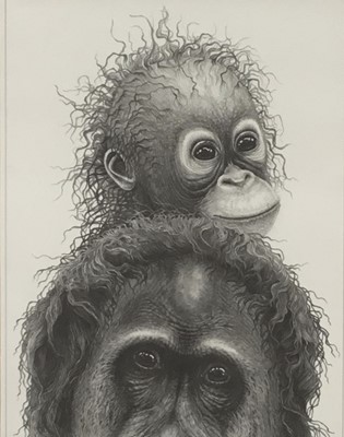 Lot 39 - Gary Hodges, 'Plea for the Rainforest', pencil signed limited edition print of Orangutans, 1163/1500, 39cm x 29cm, framed and glazed