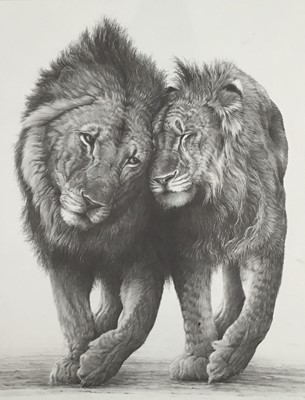 Lot 37 - Gary Hodges, 'Friendship', limited edition pencil signed print of two lions, 370/1250, 39cm x 30cm, framed and glazed