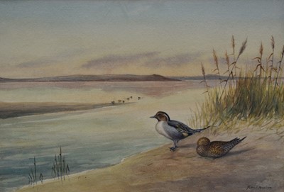 Lot 1012 - Richard Harrison, 20th century, watercolour - Pair of Pintail on the Shoreline, signed, 34cm x 50cm, in glazed gilt frame