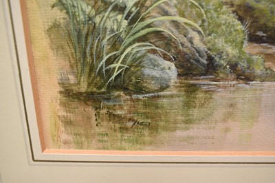 Lot 1001 - Jenny Myers, 20th century, watercolours - Pied Wagtails, signed, 38cm x 28cm, in glazed frame