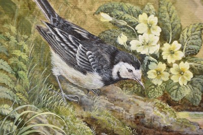 Lot 1001 - Jenny Myers, 20th century, watercolours - Pied Wagtails, signed, 38cm x 28cm, in glazed frame