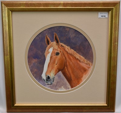 Lot 1018 - English School, contemporary, watercolour - A Chestnut Hunter, tondo 28cm, in glazed gilt frame