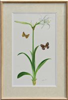 Lot 1211 - *Glyn Morgan (1926 - 2015), watercolour -...