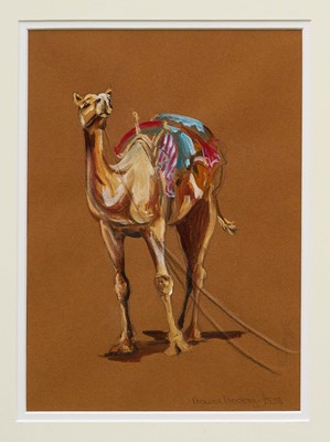 Lot 1081 - Mourne Mackay-Lewis (b.1967) gouache - A Camel, signed, 29,5cm x 21cm, in glazed frame