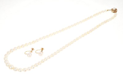 Lot 467 - Cultured pearl necklace and earrings